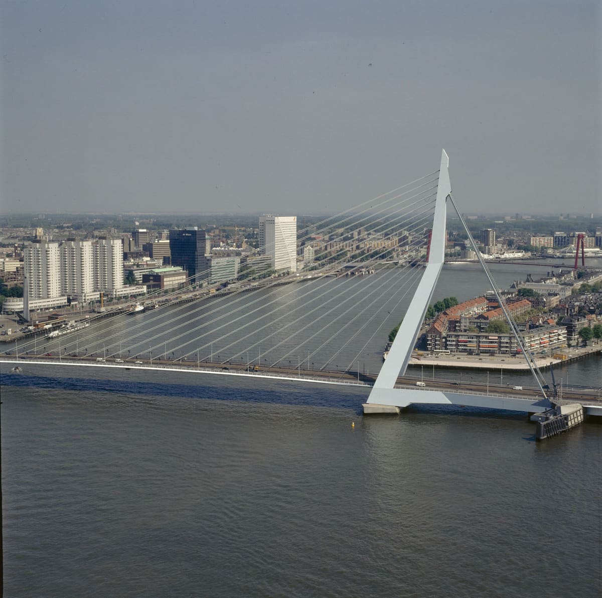 The Erasmusbrug bridge over the river Maas with the Rotterdam skyline behind it